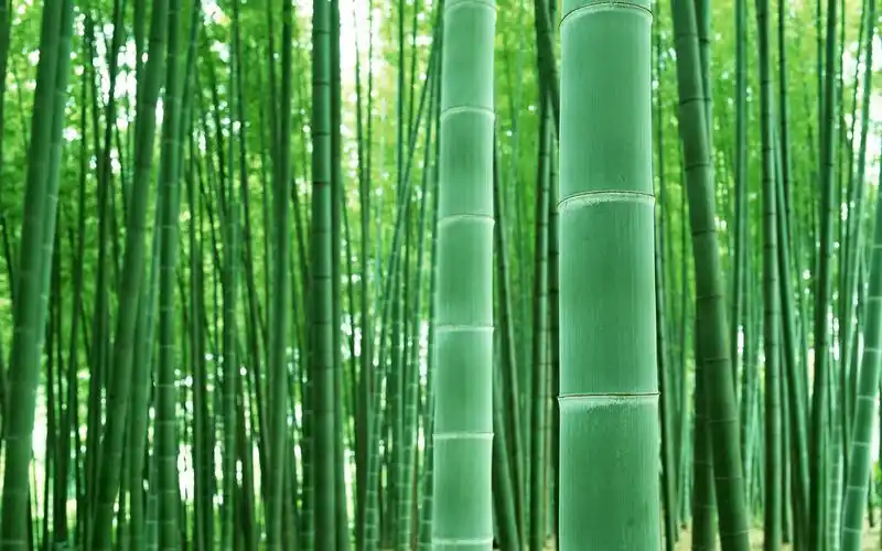 靠谱的百科大全